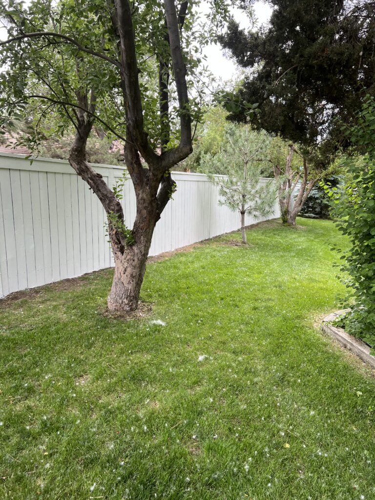 A white painted fence