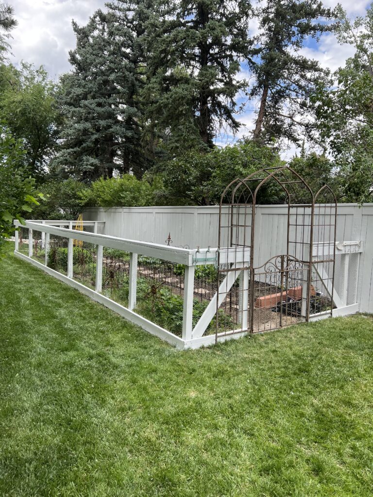 Newly painted outdoor structures including an arbor, garden fence and privacy fence